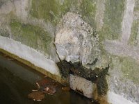 Zampanellata 27-09-2014 (53)